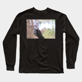 Barn Owl Long Sleeve T-Shirt